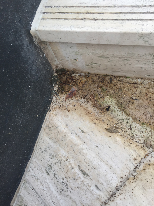 Efflorescence on Travertine